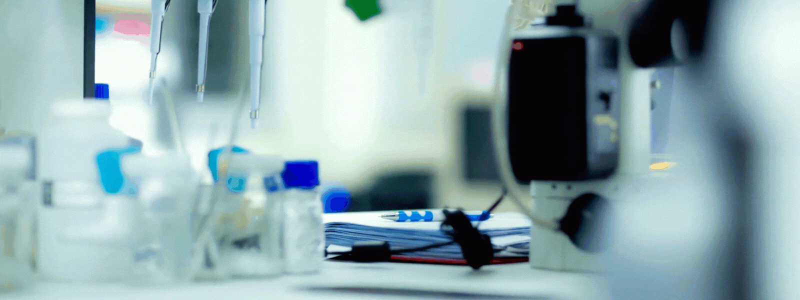 header 4 gif-1